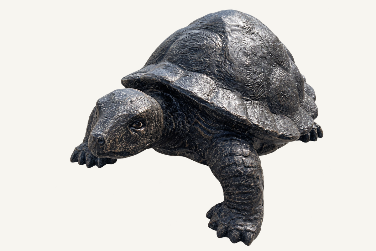 Driftbay Turtle Statue, front view
