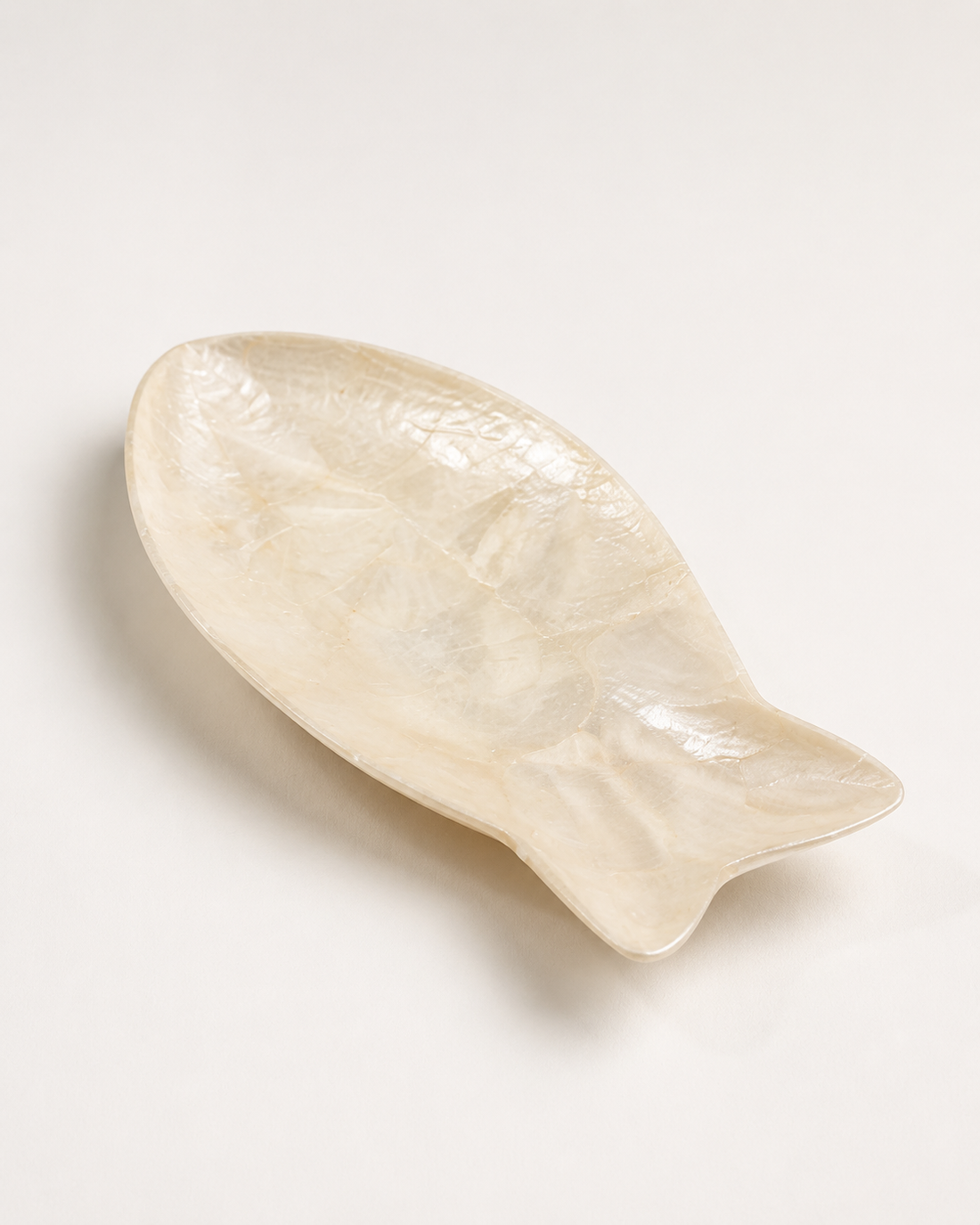 Fish Shaped Shell Plate catalog view