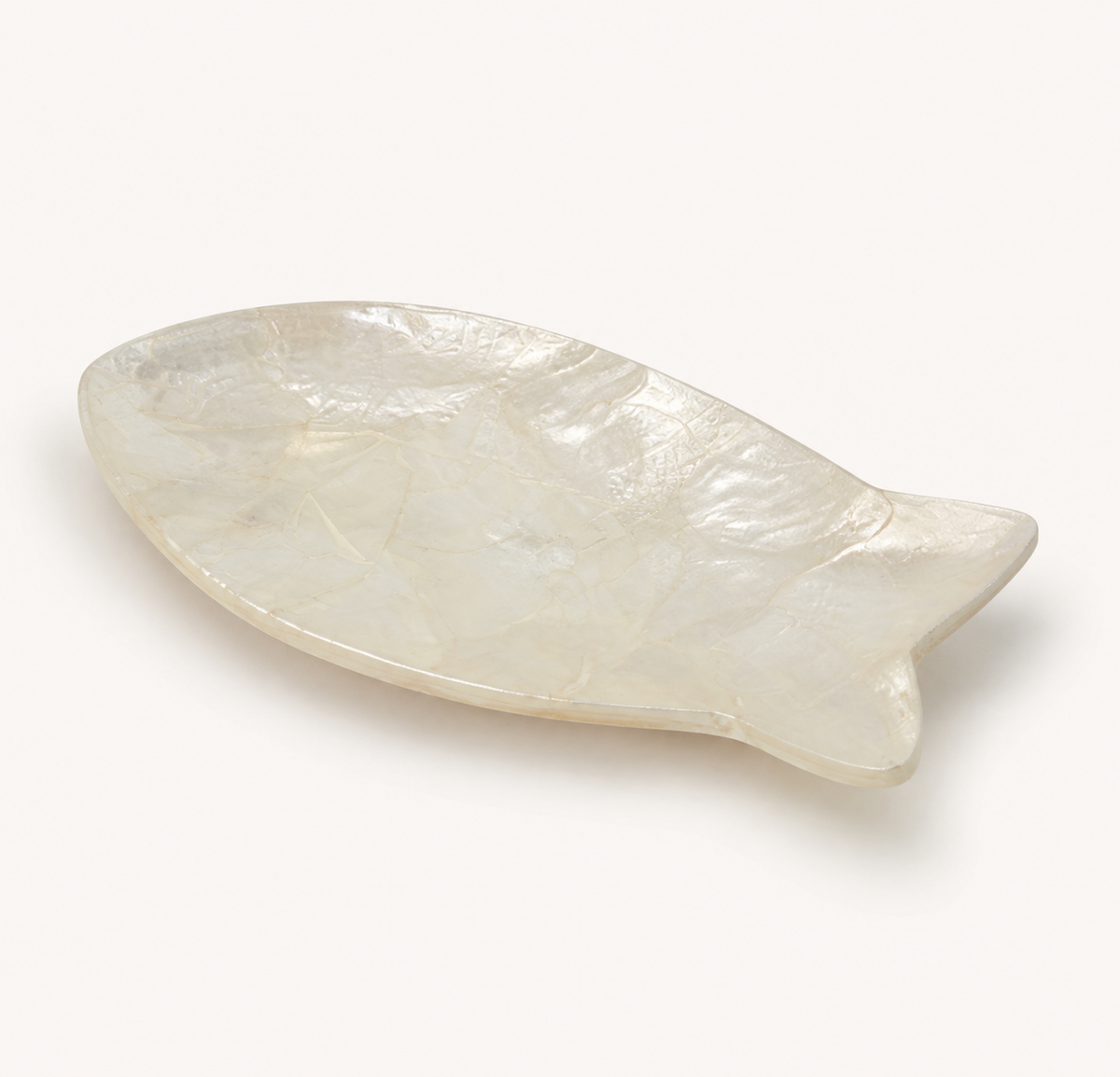 Fish Shaped Shell Plate catalog view