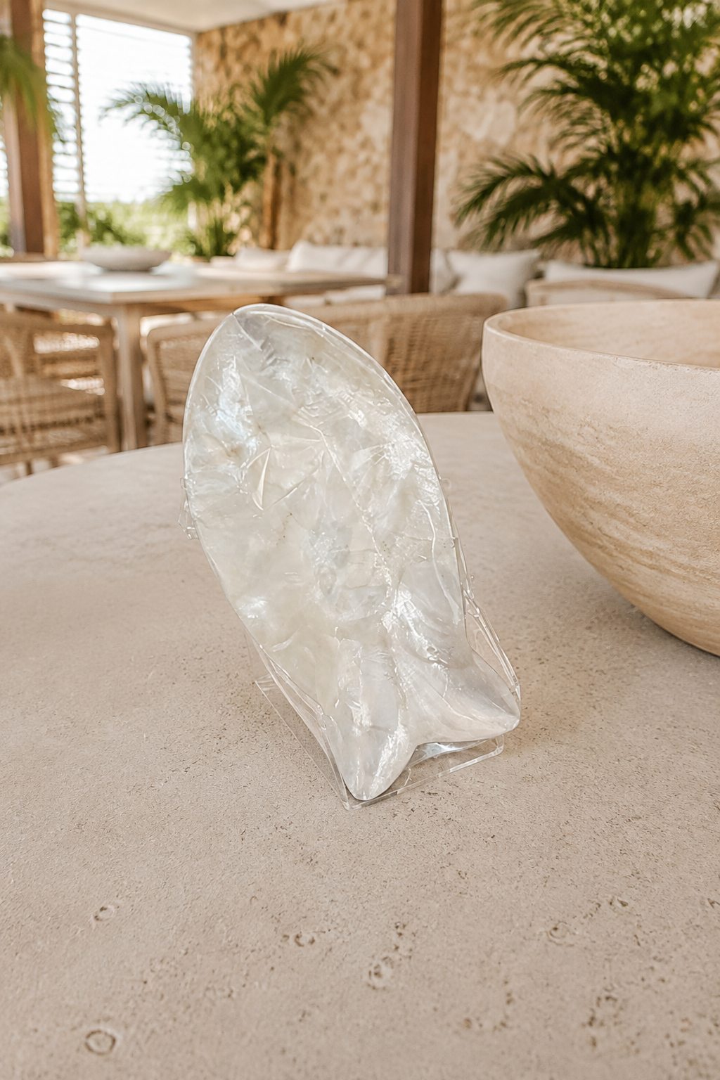 Fish Shaped Shell Plate lifestyle image