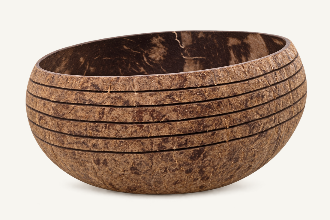 Island Shell Coconut Bowl, front view