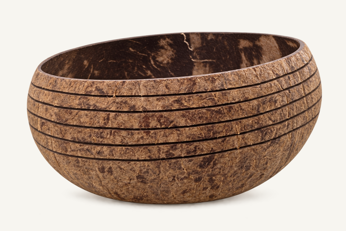 Island Shell Coconut Bowl, front view
