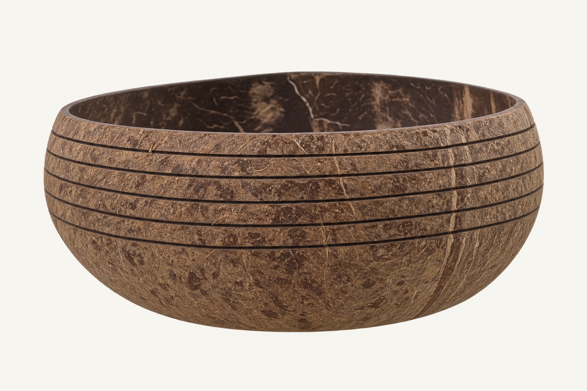 Island Shell Coconut Bowl, alternate view