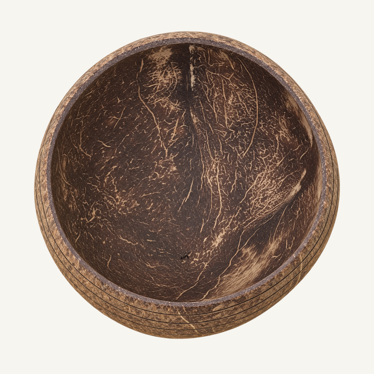 Island Shell Coconut Bowl, view 3