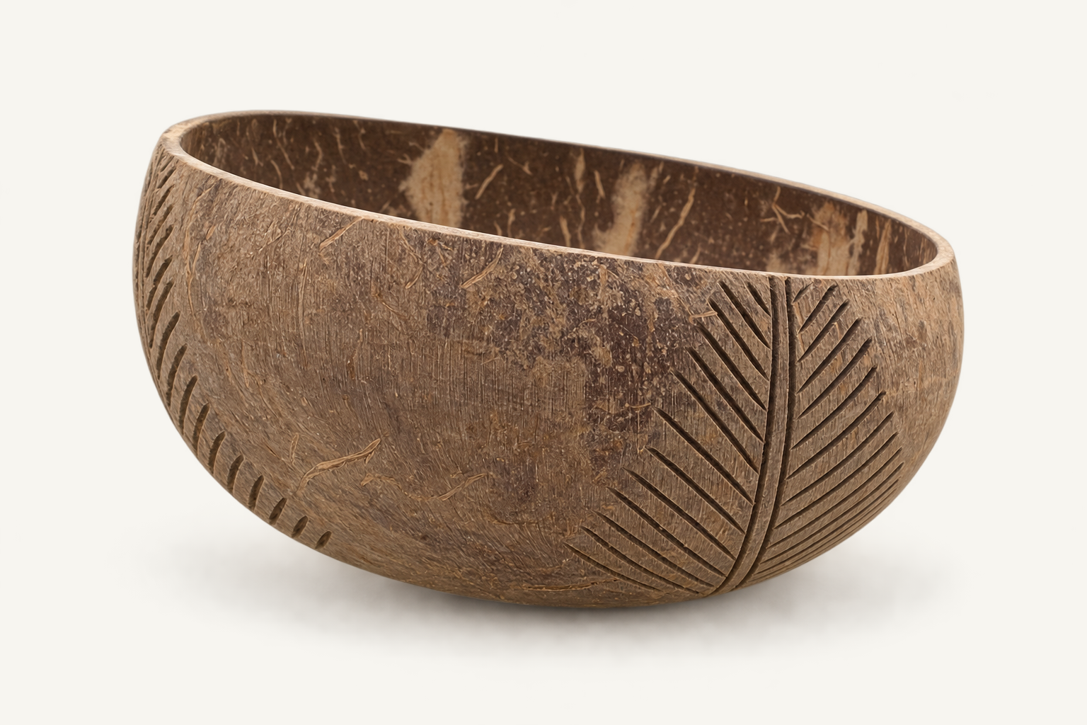 CABANA_STD_CATALOG_1 | Jungle Coil Coconut Dish | run:issue-19-20260823T142348Z-7940391370845 | attempt:2