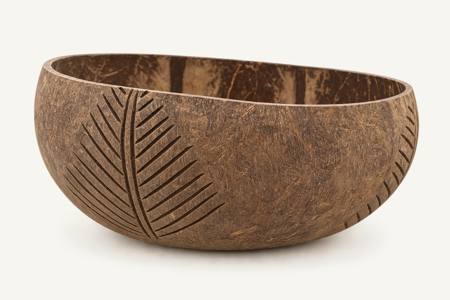 CABANA_STD_CATALOG_3 | Jungle Coil Coconut Dish | run:issue-19-20260823T142348Z-7940391370845 | attempt:3