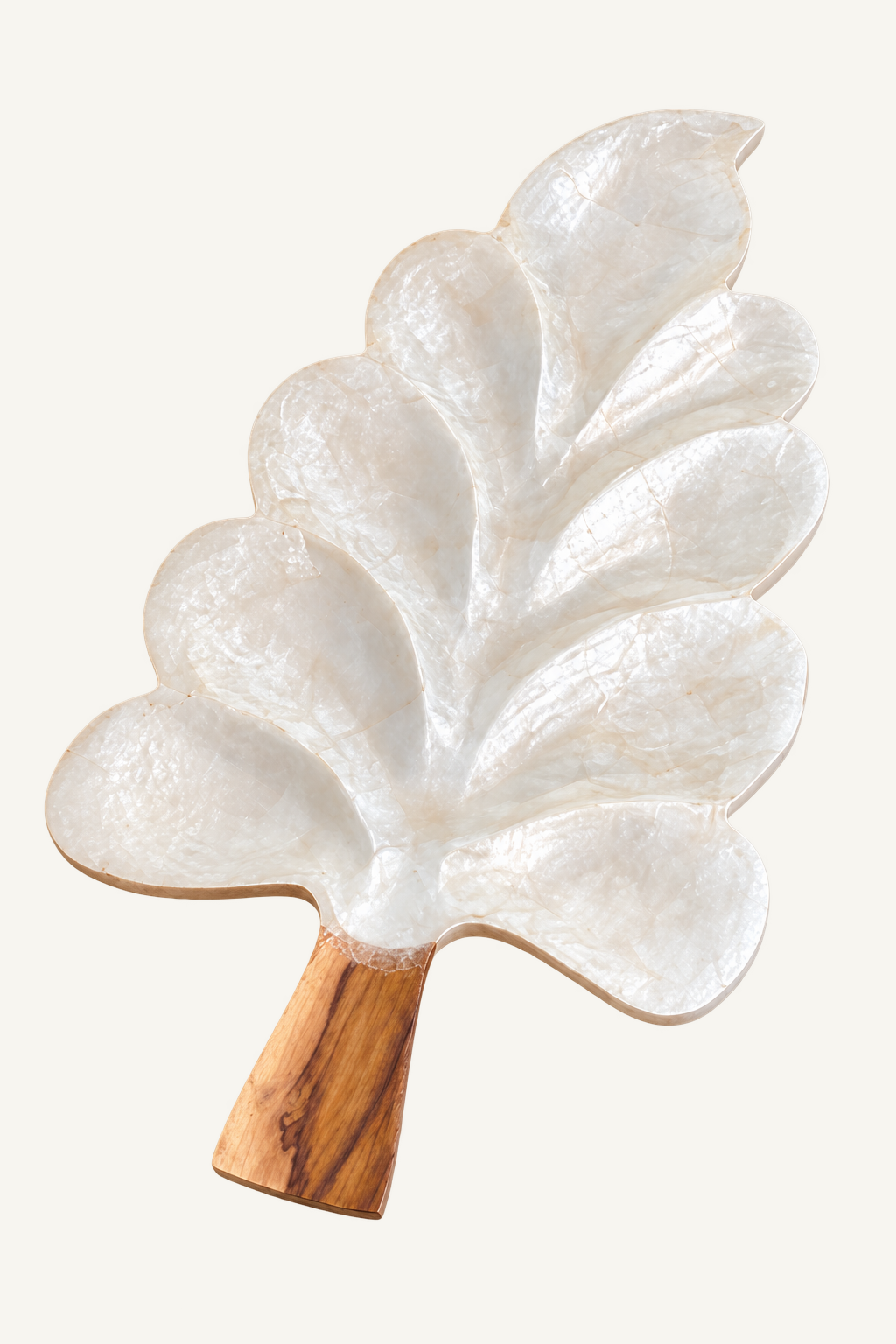 CABANA_STD_CATALOG_1 | Large Teak & Resin Palm Plate | run:issue-19-20260823T142348Z-8204117606493 | attempt:1