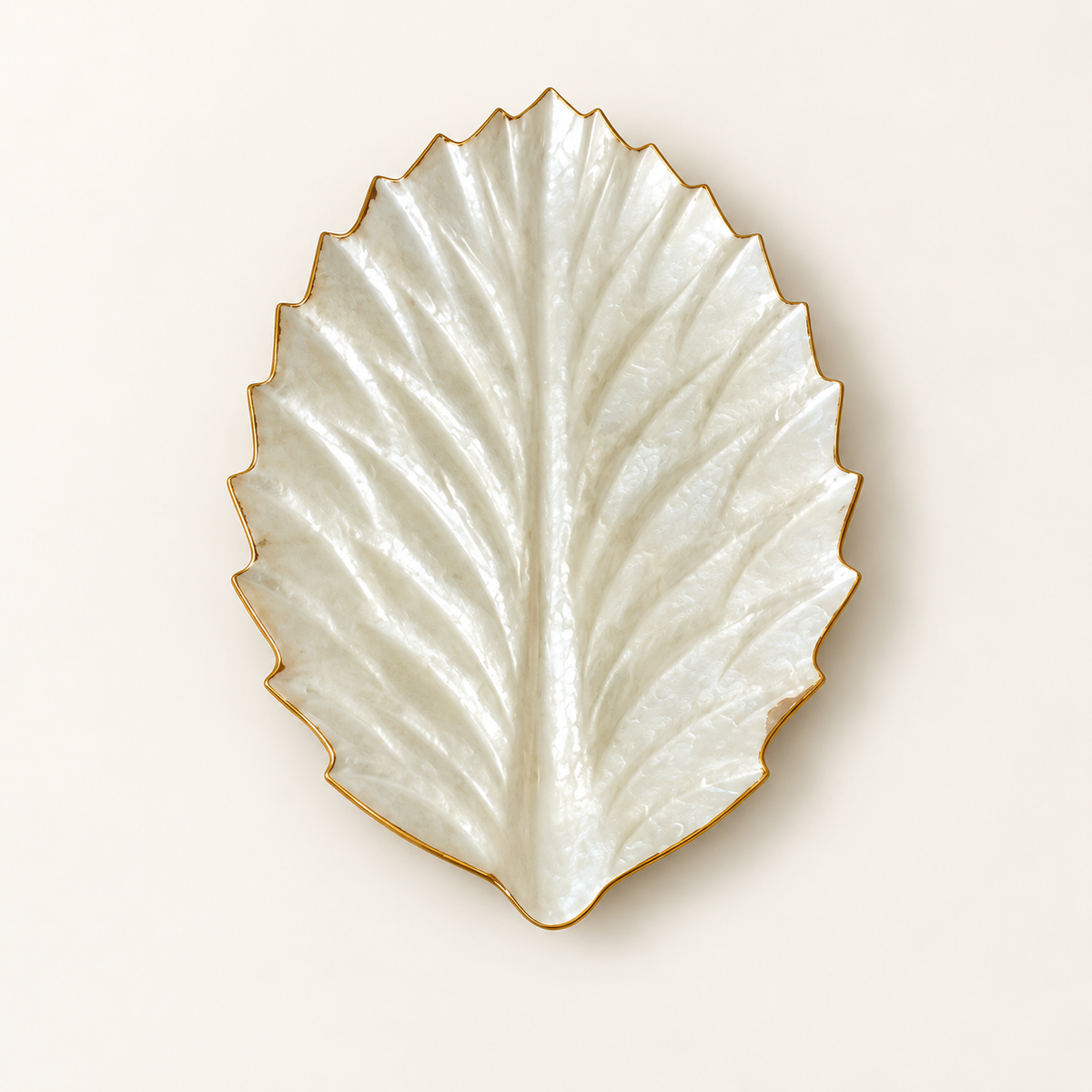 White Serrated Leaf shell decorative tray - top view