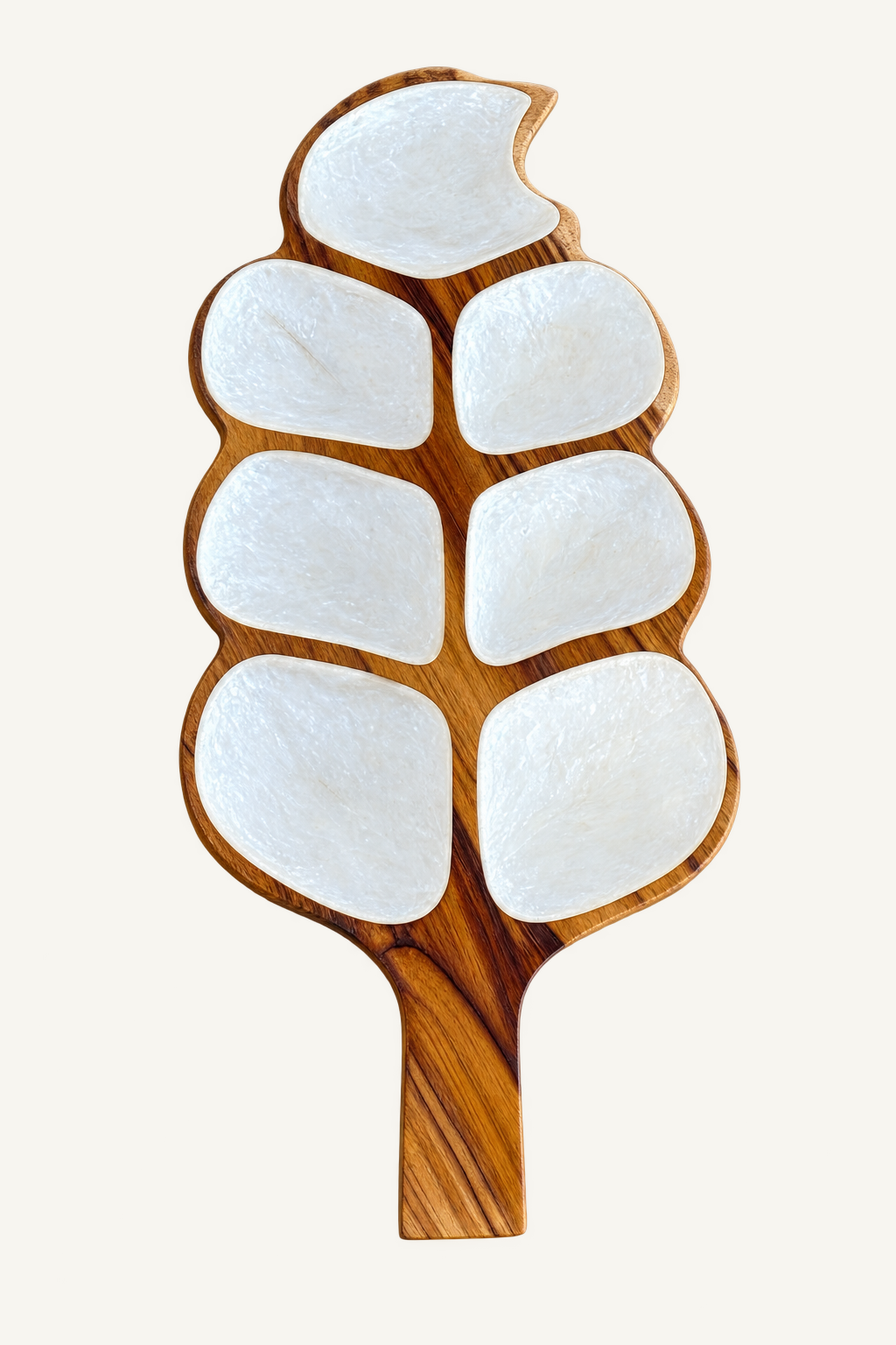 CABANA_STD_CATALOG_2 | Medium Teak & Resin Geometric Plate | run:issue-19-20260823T142348Z-8204117672029 | attempt:3