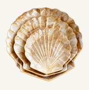 Antique Gold Scallop
