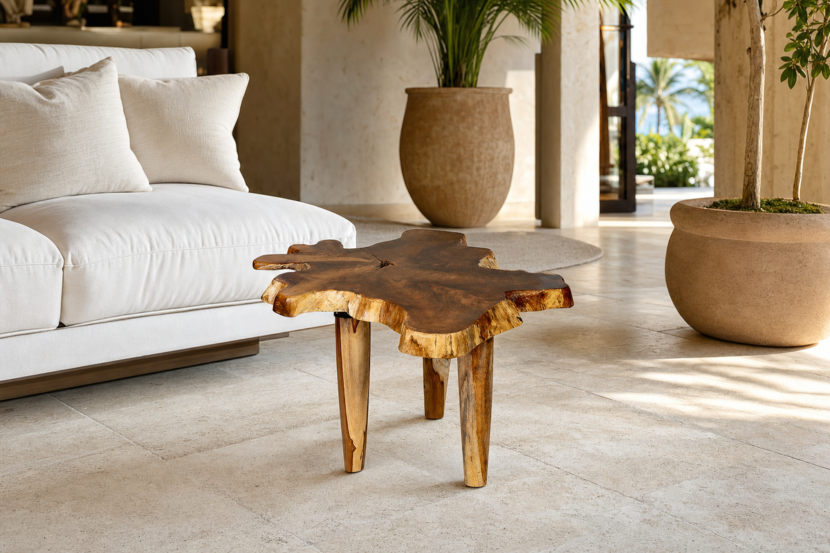 Organic Teak Root Coffee Table styled in an interior
