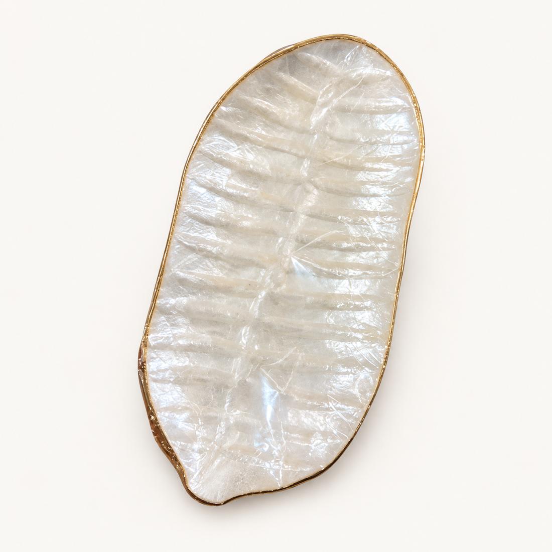 Oval Shell Bowl on warm cream catalog background