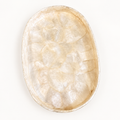 Ivory Capiz oval shell decorative tray, top catalog view