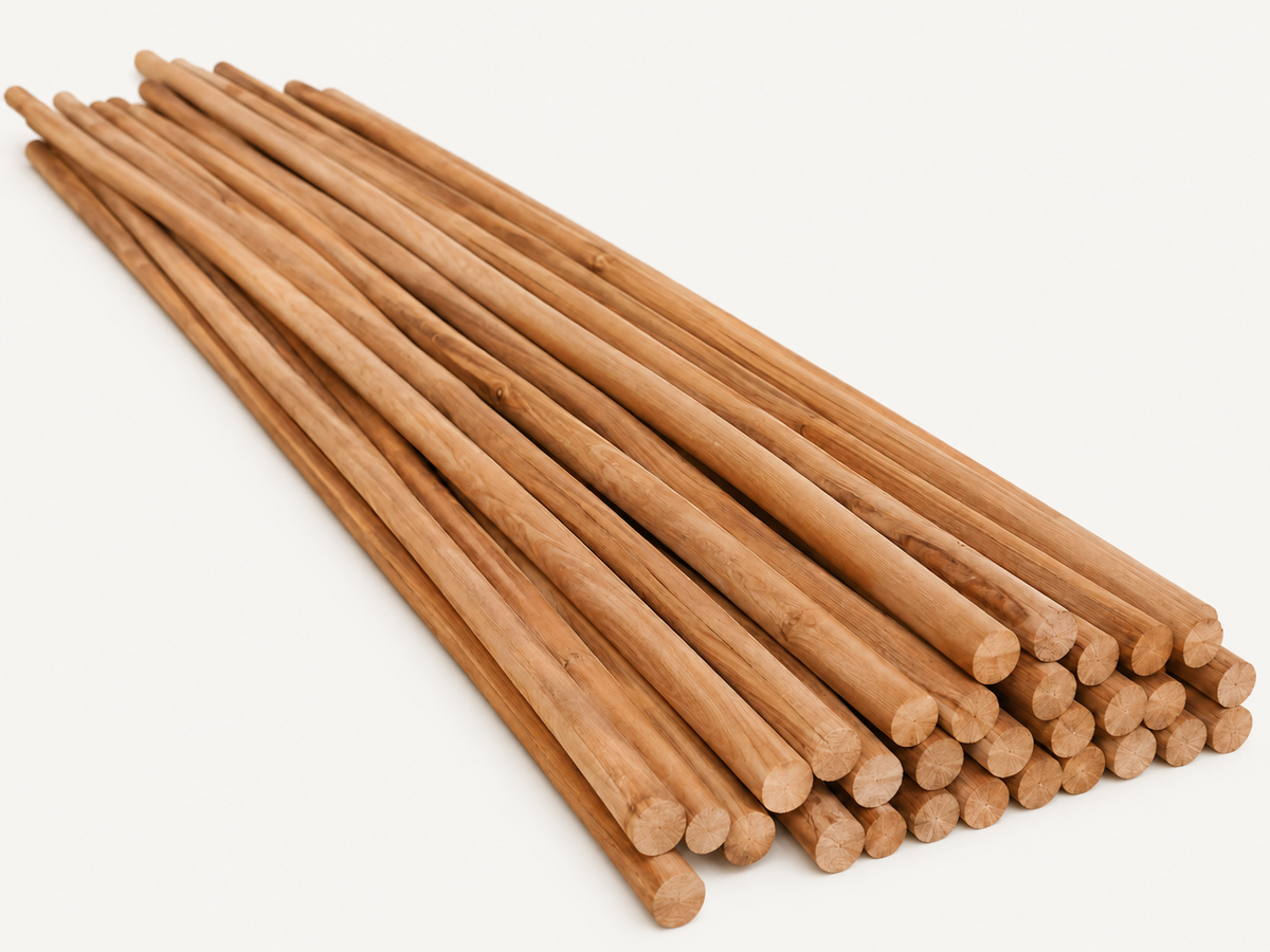 Premium Teak Branches on warm off-white background