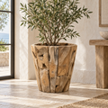 Round Teak Root Planter in a warm coastal interior