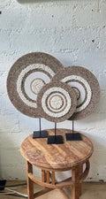 Natural Concentric Shell Sculpture - 16 inch