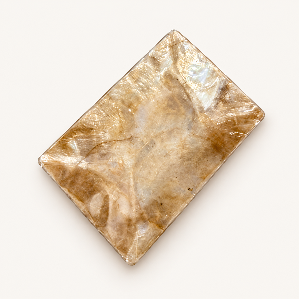 Square Shell Tray on warm cream background