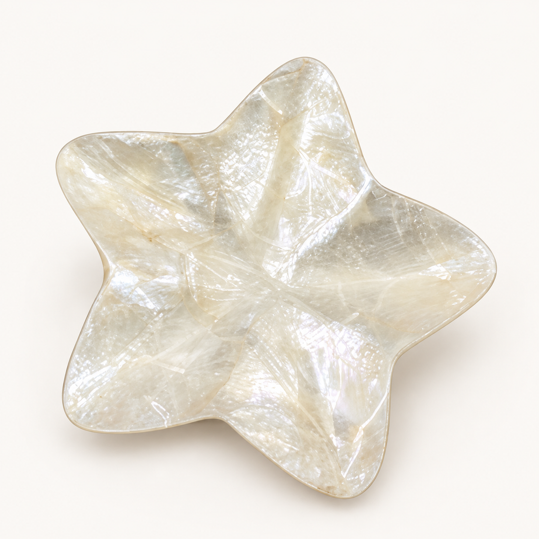 Star Shell Bowl on warm cream background