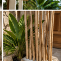 Premium teak branches used as a decorative architectural column in a tropical entryway