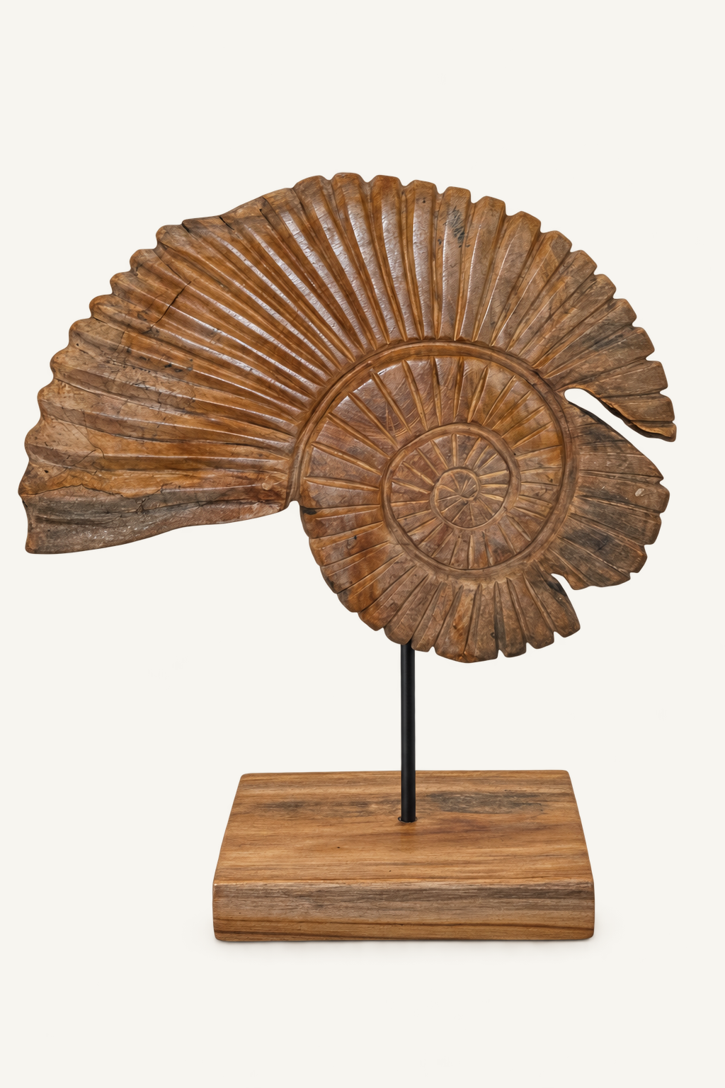 Teak Shell Pedestal Sculpture, front view