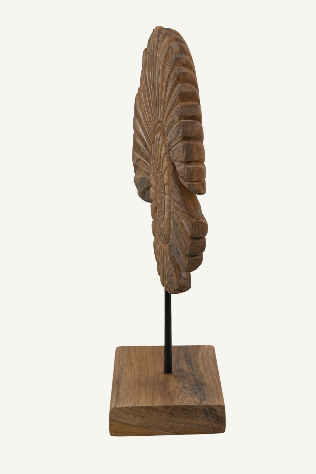 Teak Shell Pedestal Sculpture, alternate view