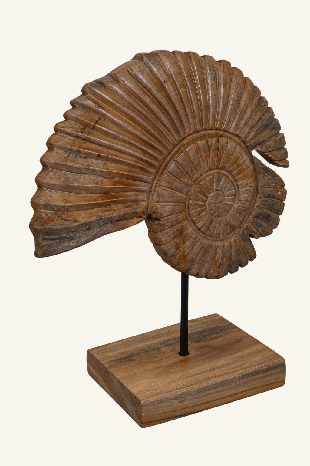 Teak Shell Pedestal Sculpture, view 3