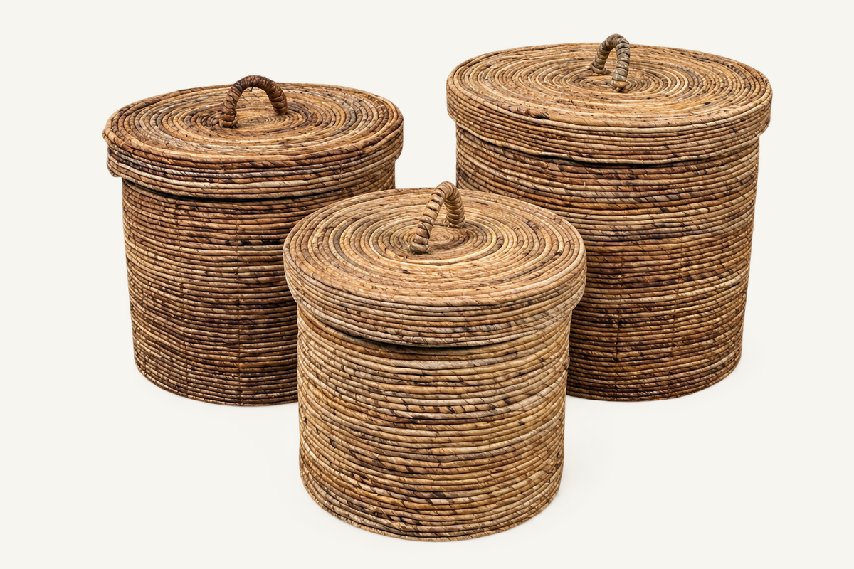 CABANA_STD_CATALOG_1 | Tierra Trio Baskets | run:issue-15-20260823T023913Z-7872200048733 | attempt:3