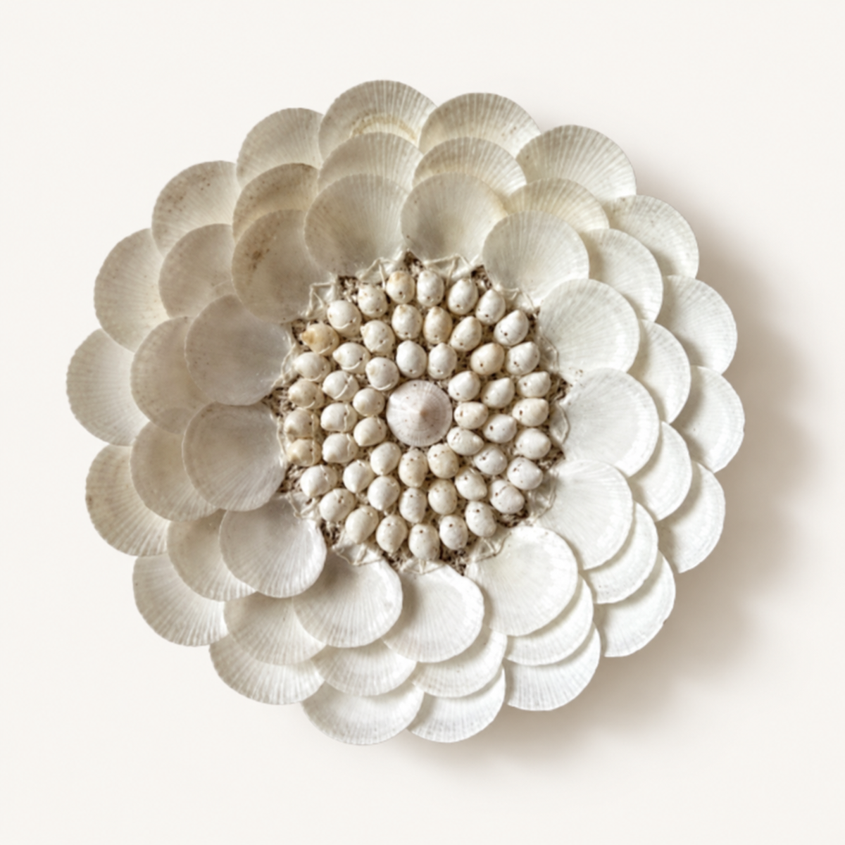 White Shell Flower Decor, size M, on included black metal stand