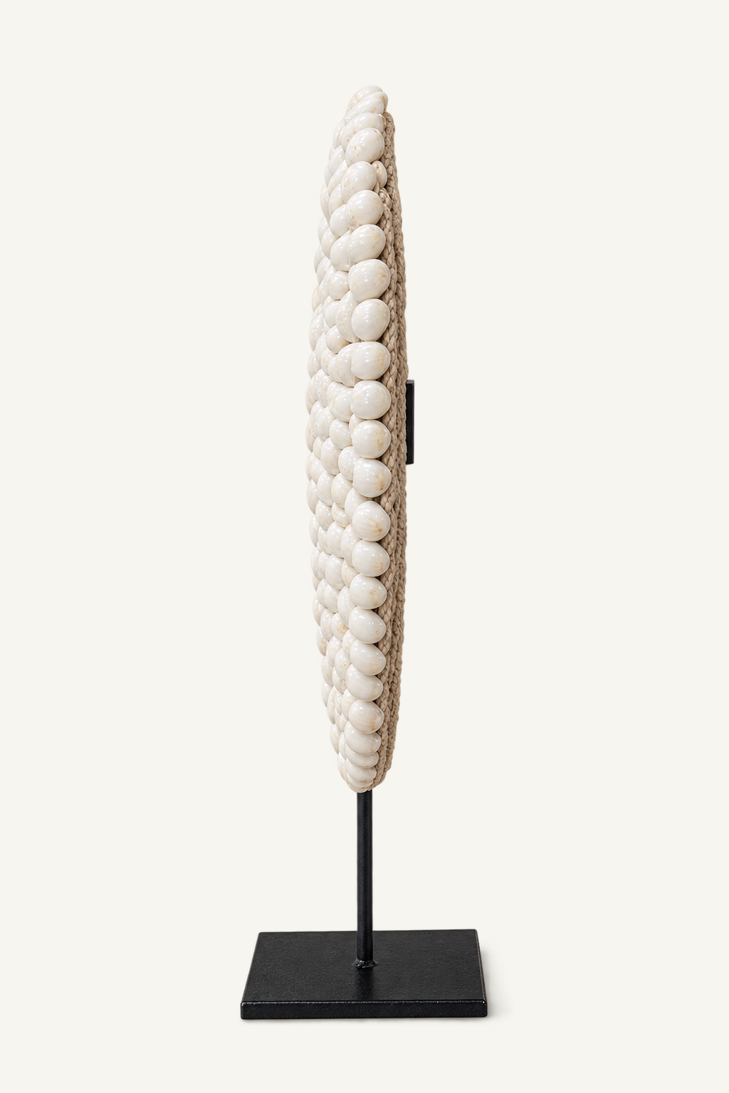 White Shell Rosette on black metal stand, side view
